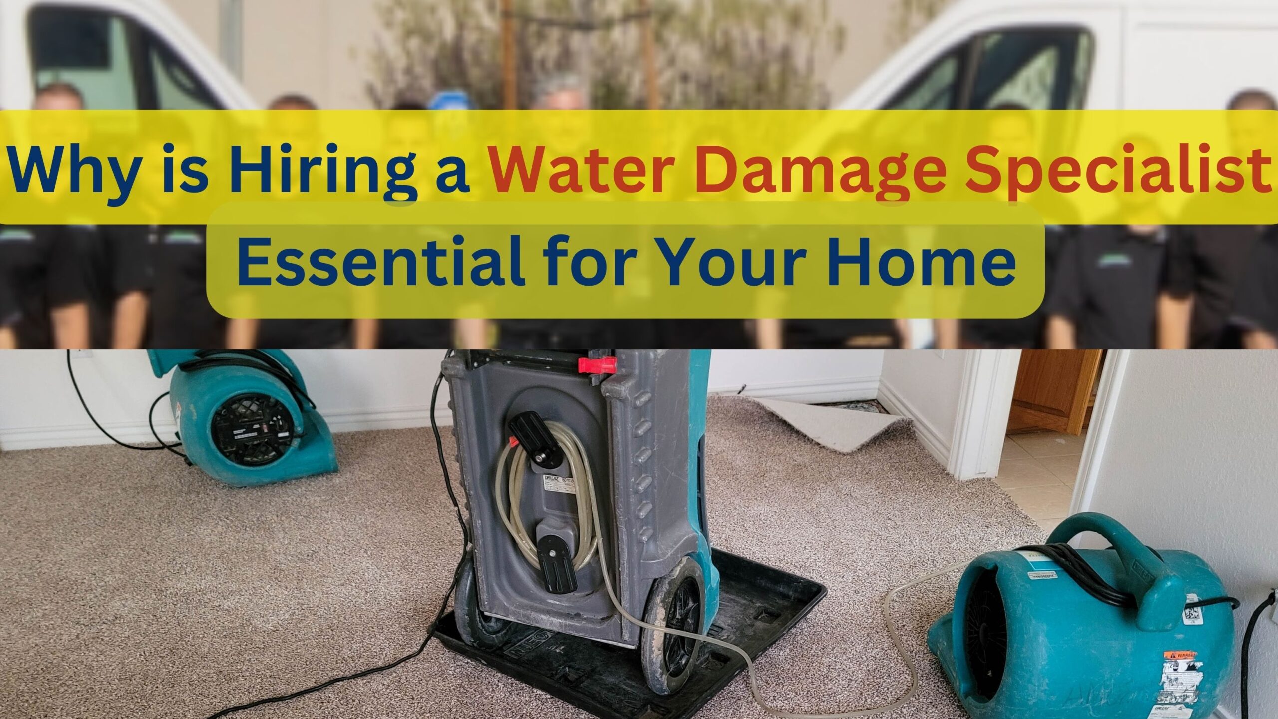 hiring a water damage specialist