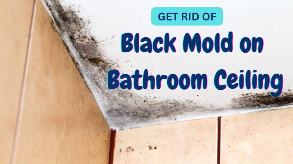 black mold