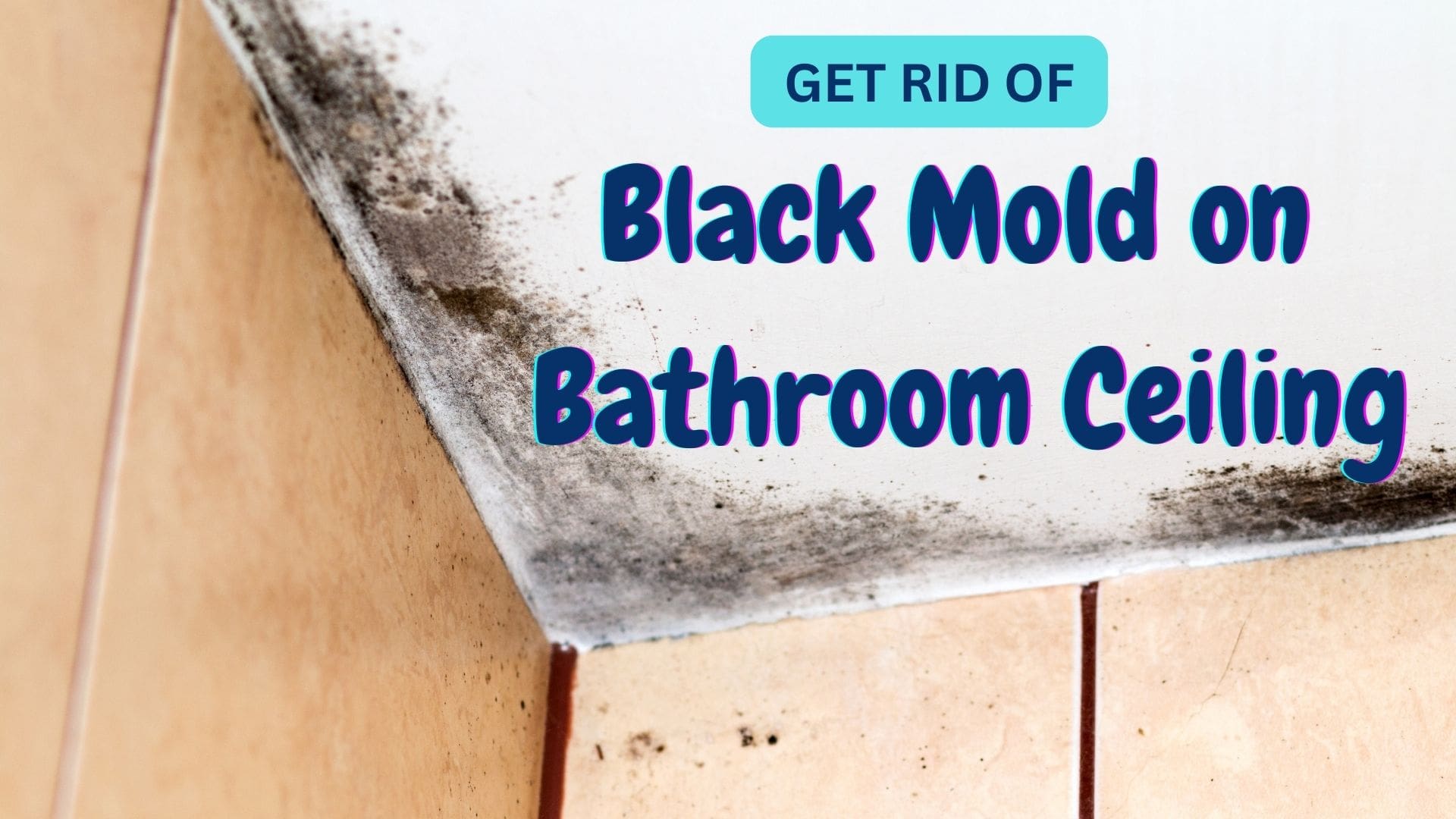 Get Rid Of BLACK MOLD On Bathroom Ceiling Superior Restoration