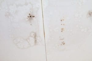 black mold on the ceiling