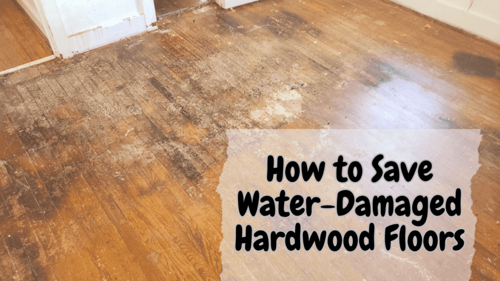 water-damaged hardwood floors