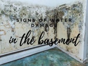 signs of water damage in the basement