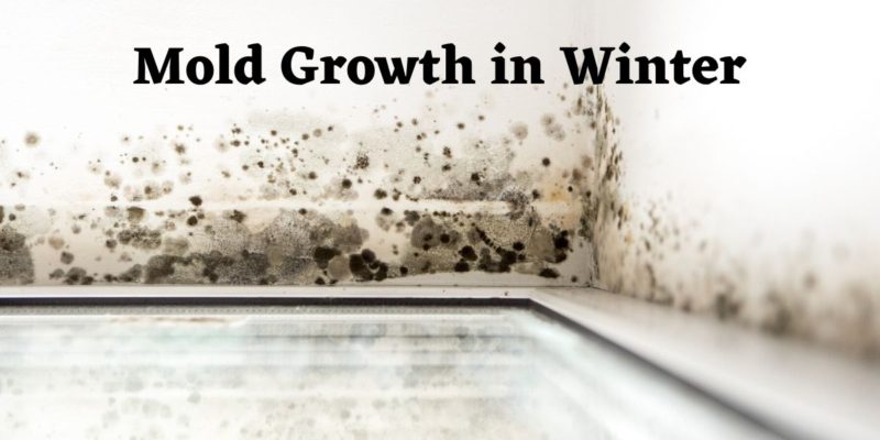 Can Mold Grow In Winter Superior Restoration