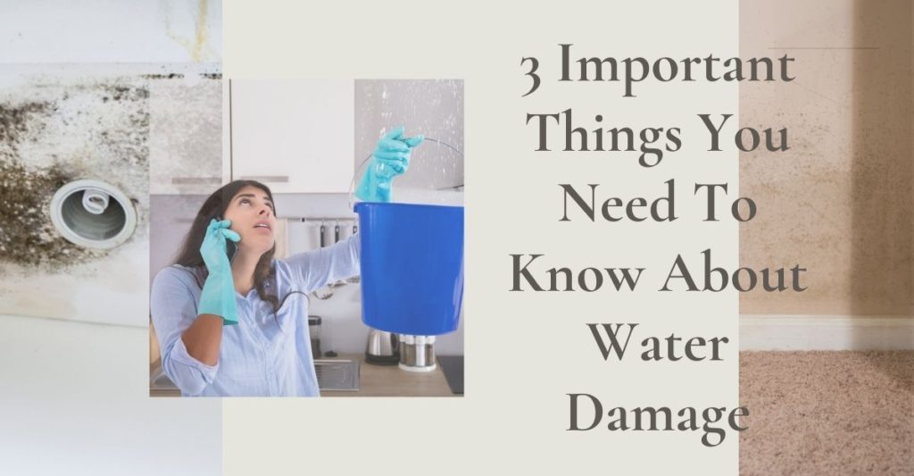 3 Important Things You Need To Know About Water Damage