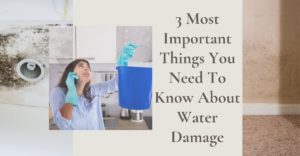 3 Important Things You Need To Know About Water Damage