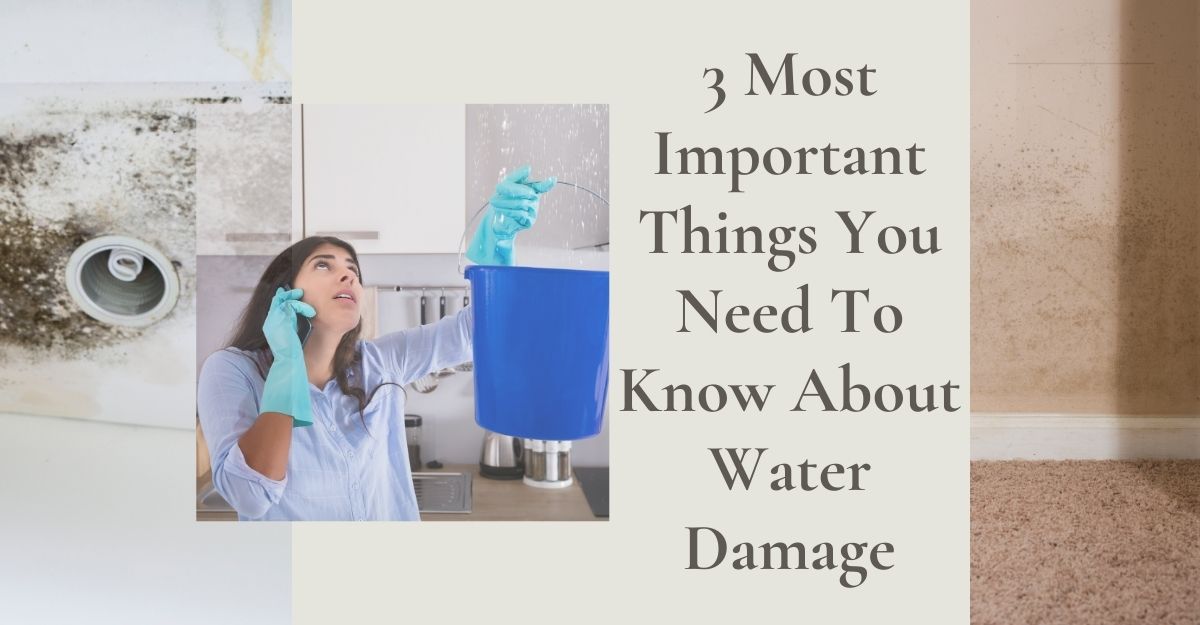 Important Things About Water Damage