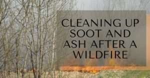 Cleaning Up Soot and Ash After A Wildfire