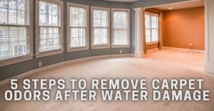 5 Steps To Remove Carpet Odors After Water Damage