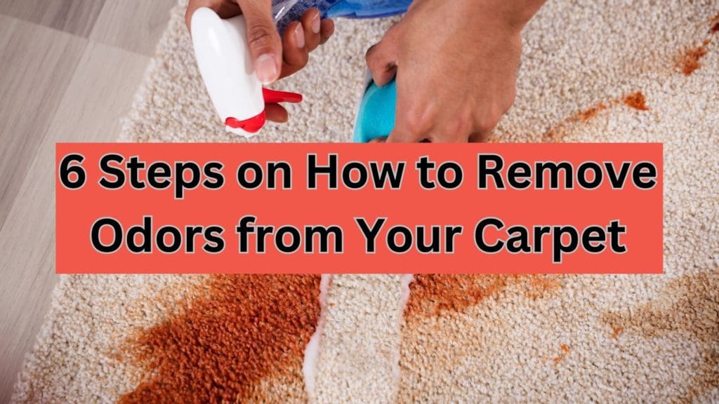 how to remove carpet odors