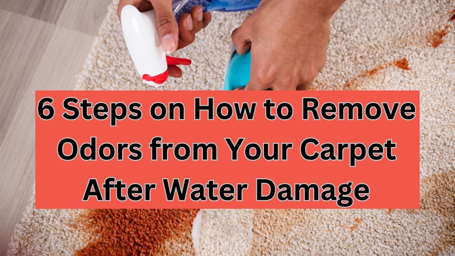 How To Remove Carpet Odors After Water Damage Learn 6 Steps