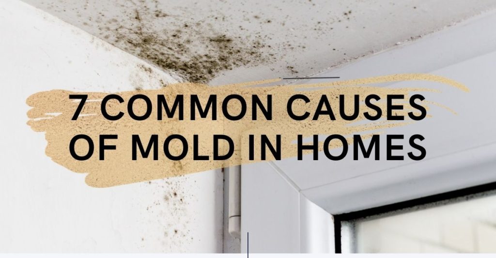 7 Common Causes of Mold In Homes