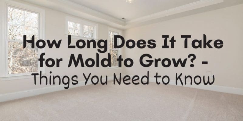 how-long-does-it-take-for-mold-to-grow-things-you-need-to-know