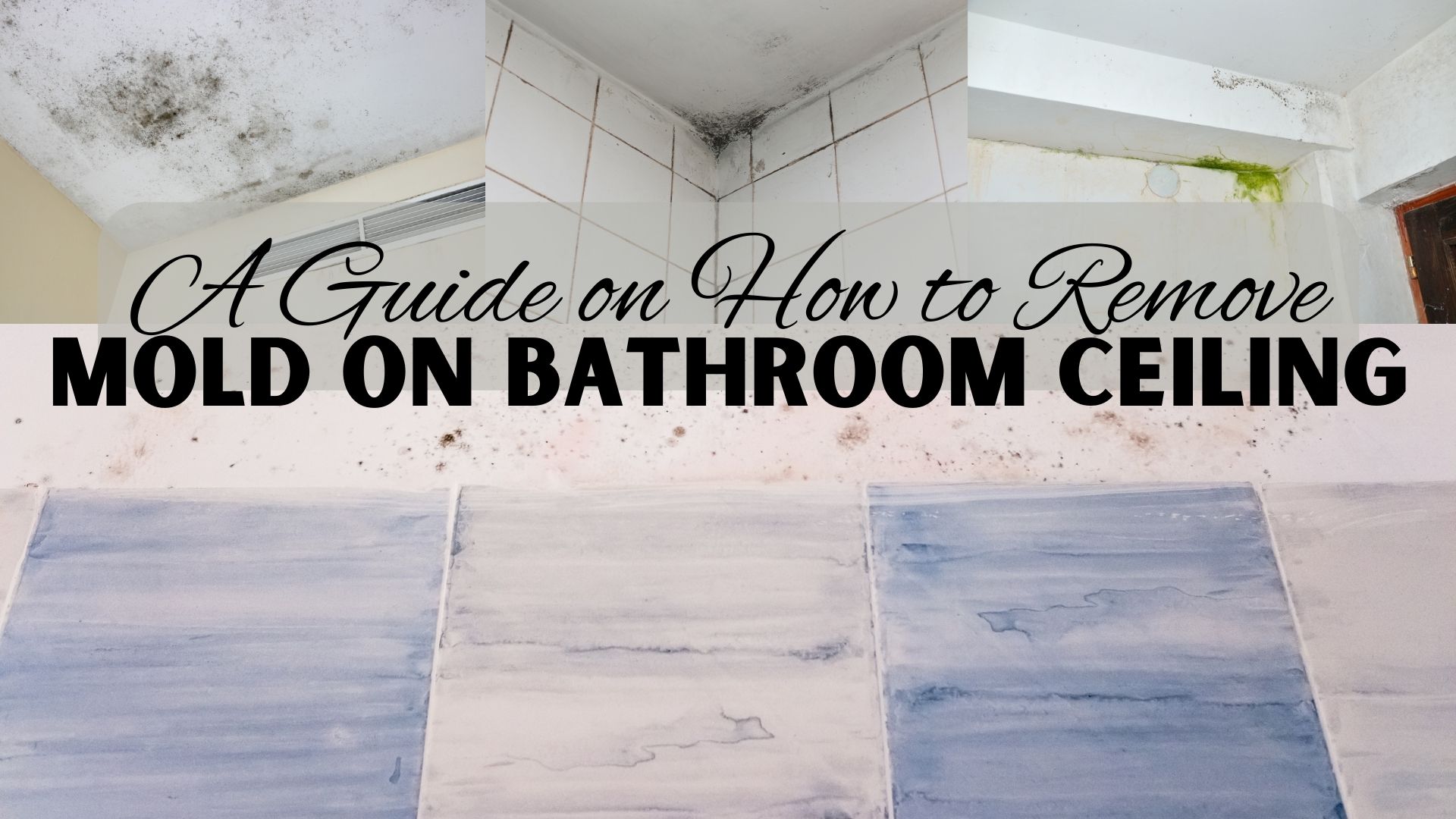 Remove Mold On Bathroom Ceiling Learn