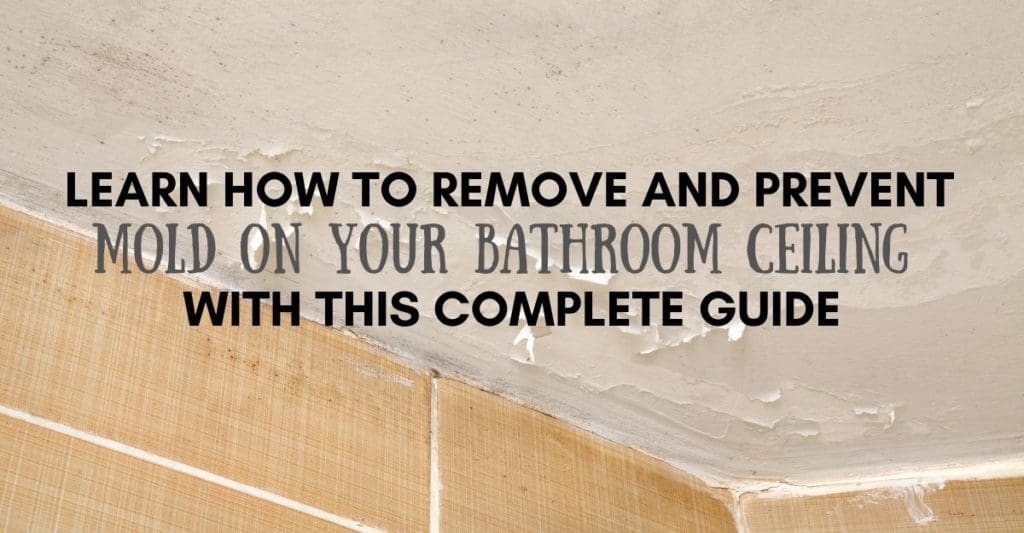 Learn How To Remove Mold on Bathroom Ceiling 