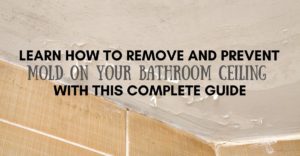 Learn How To Remove and Prevent Mold on Your Bathroom Ceiling with This Complete Guide