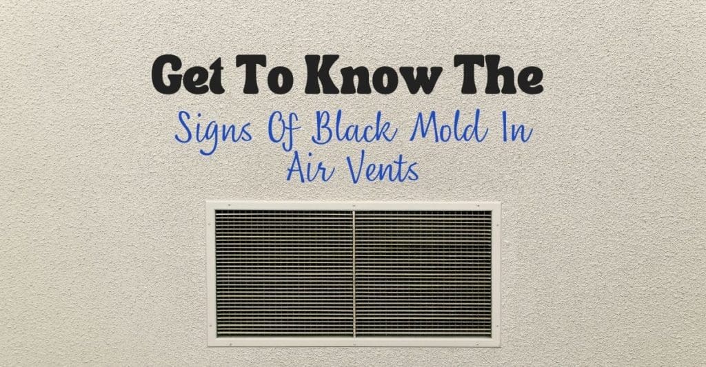 black mold in air vents