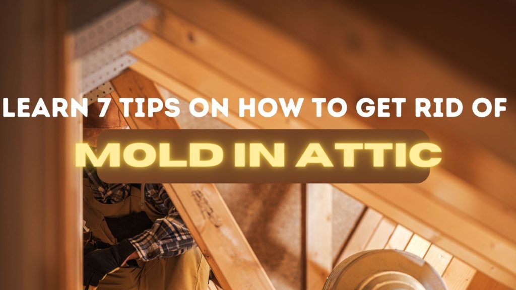 how to get rid of mold in attic 2