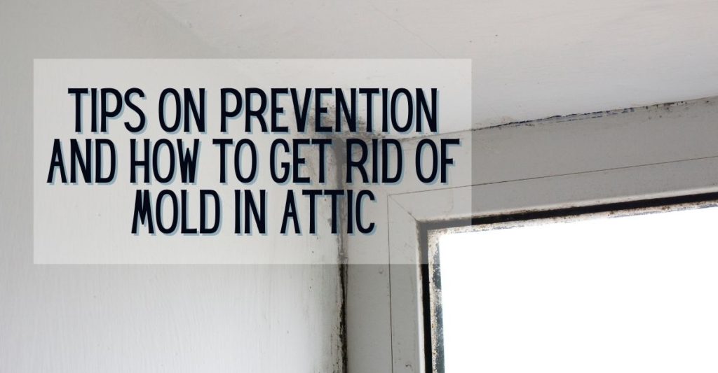 Tips on Prevention and How to Get Rid of Mold in Attic