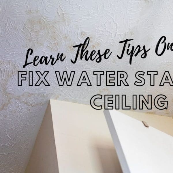 Why Is There Black Mold on My Bathroom Ceiling Superior Restoration