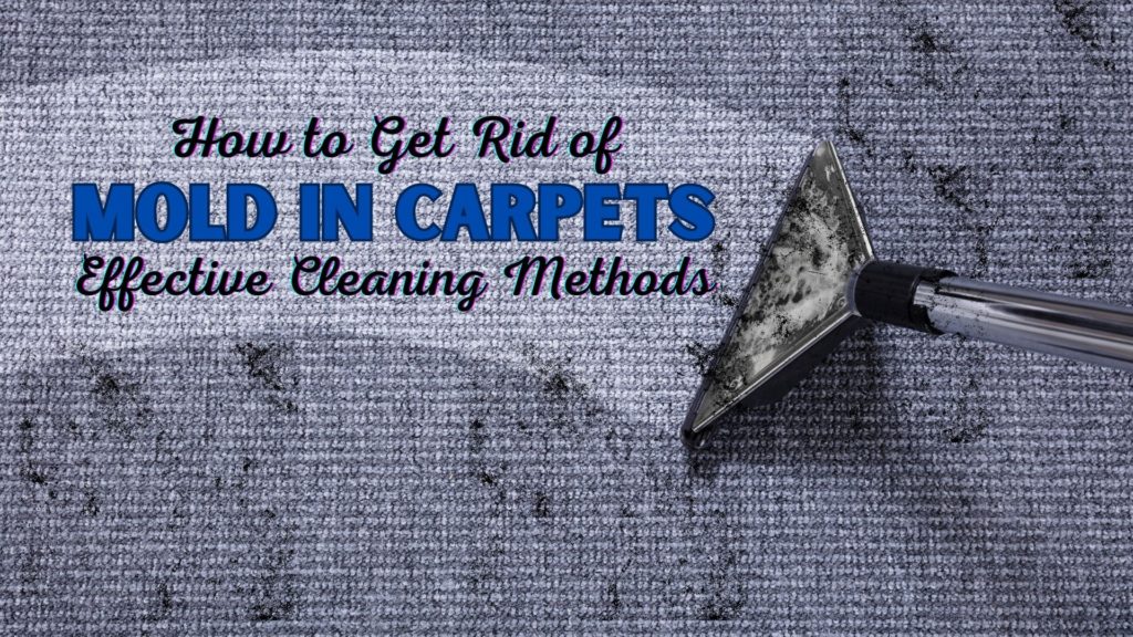 how to get rid of mold in carpet