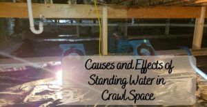 Causes and Effects of Standing Water in Crawl Space