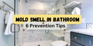 mold smell in bathroom