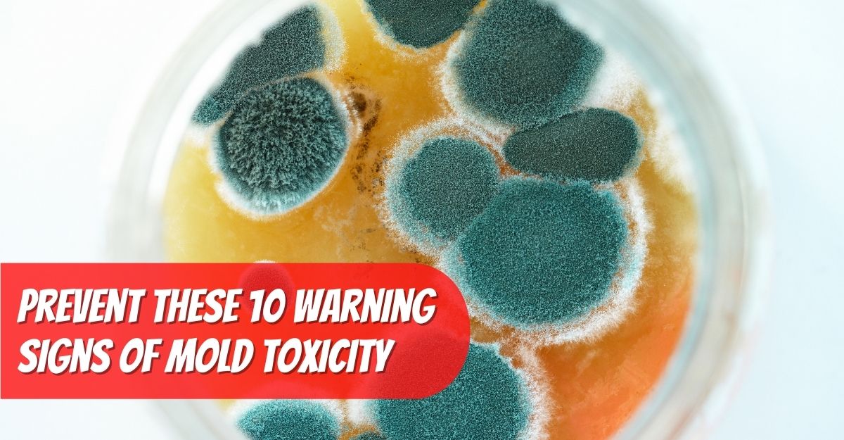 Prevent These 10 Warning Signs Of Mold Toxicity