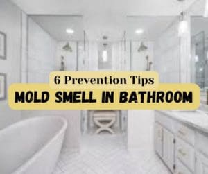 Mold Smell in Bathroom