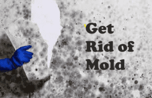 10 warning signs of mold toxicity