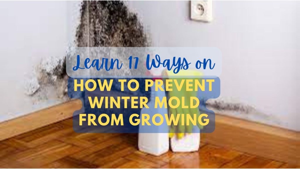 prevent winter mold from growing
