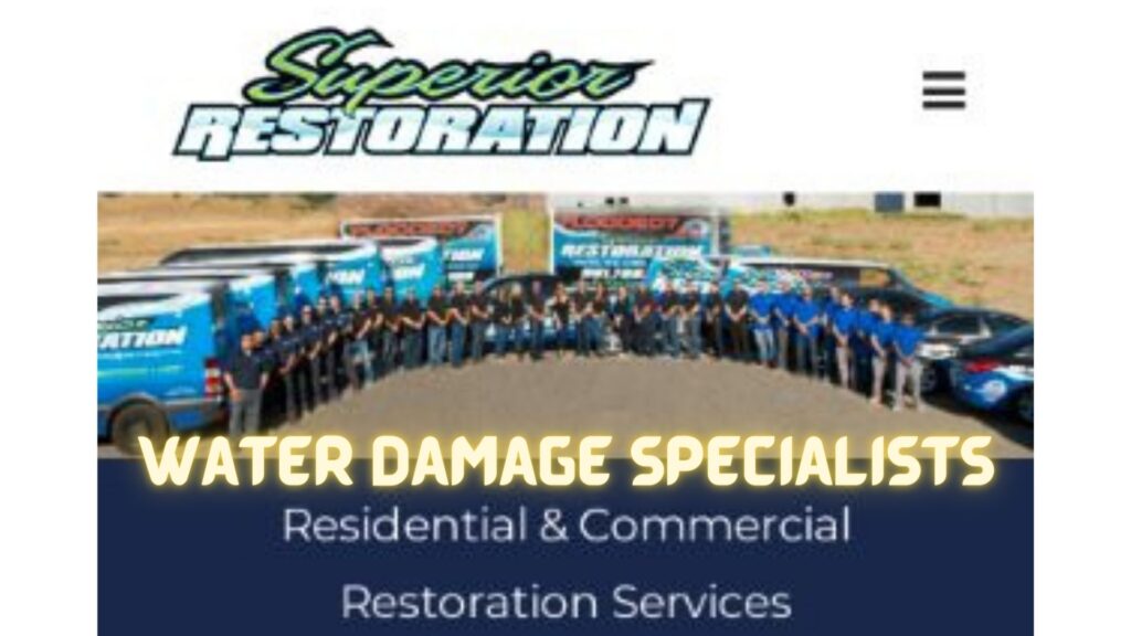 water damage specialists 123