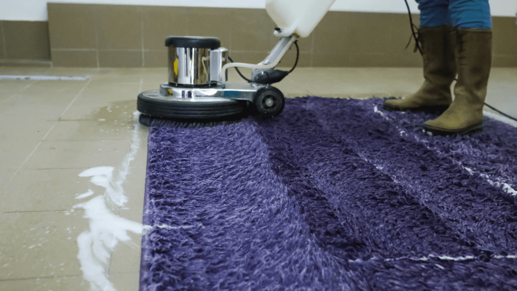 water-damaged carpet