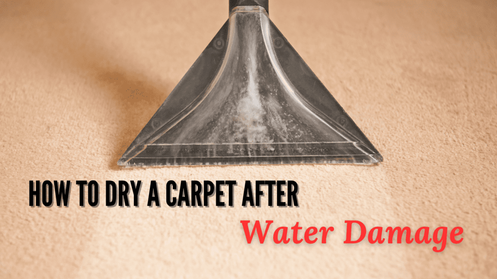 water-damaged carpet