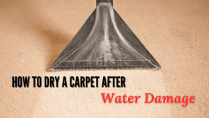 water-damaged carpet