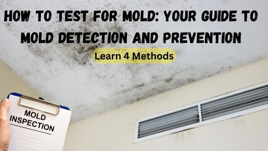 how to test for mold