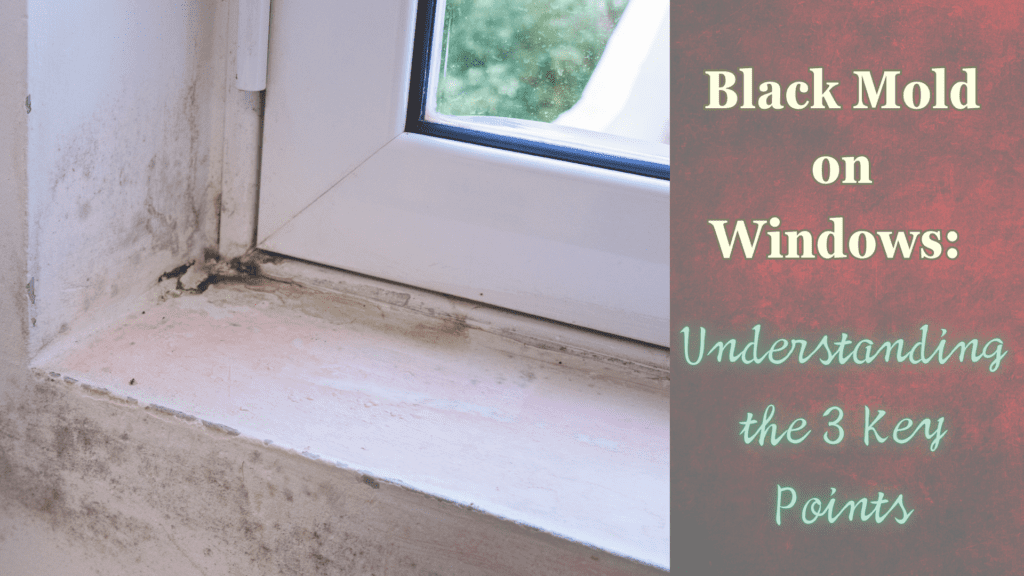 Dealing with Black Mold on Windows: Causes, Prevention, and Remediation - Superior Restoration