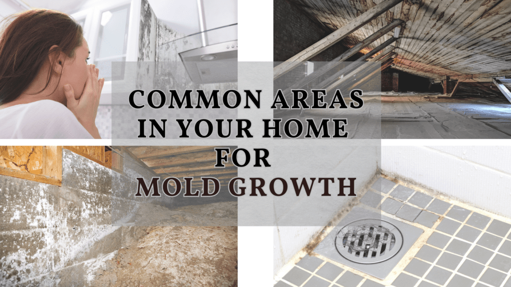 Places in Your Home for Mold Growth - Superior Restoration