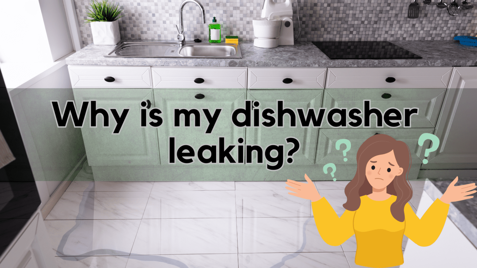 Why Is My Dishwasher Leaking? 7 Vital Things To Know