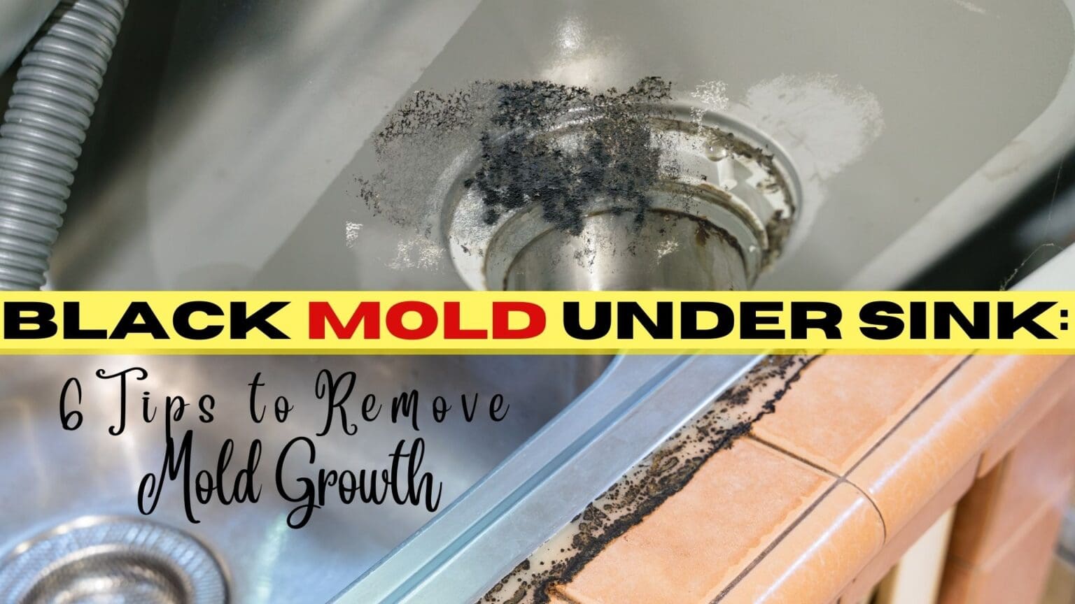 Black Mold Under Sink 6 Tips To Remove Mold Growth