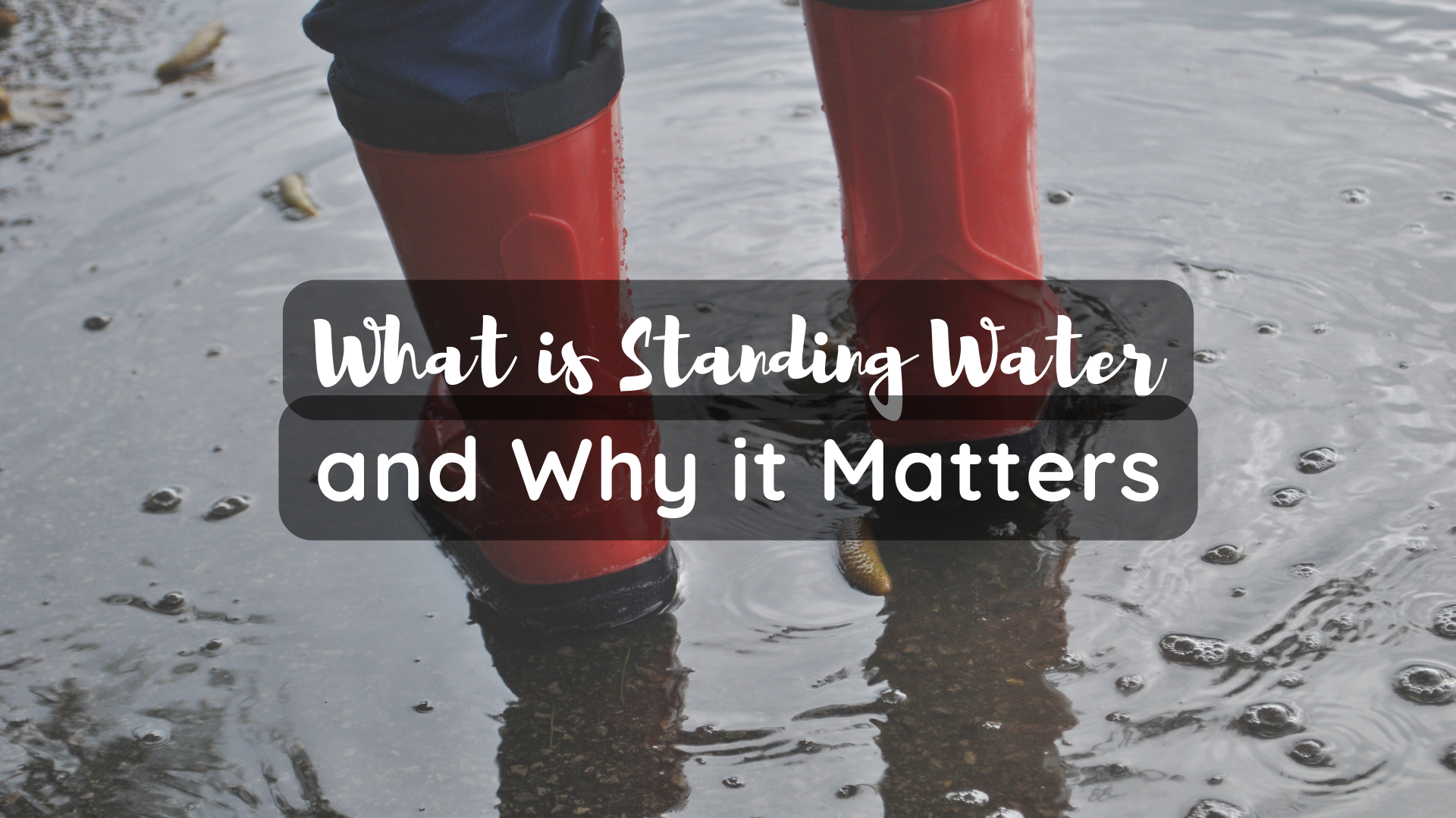 what is standing water
