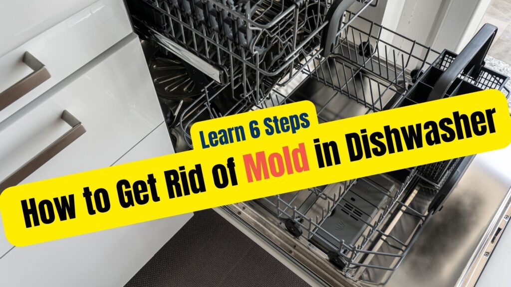 how to get rid of mold in dishwasher 123