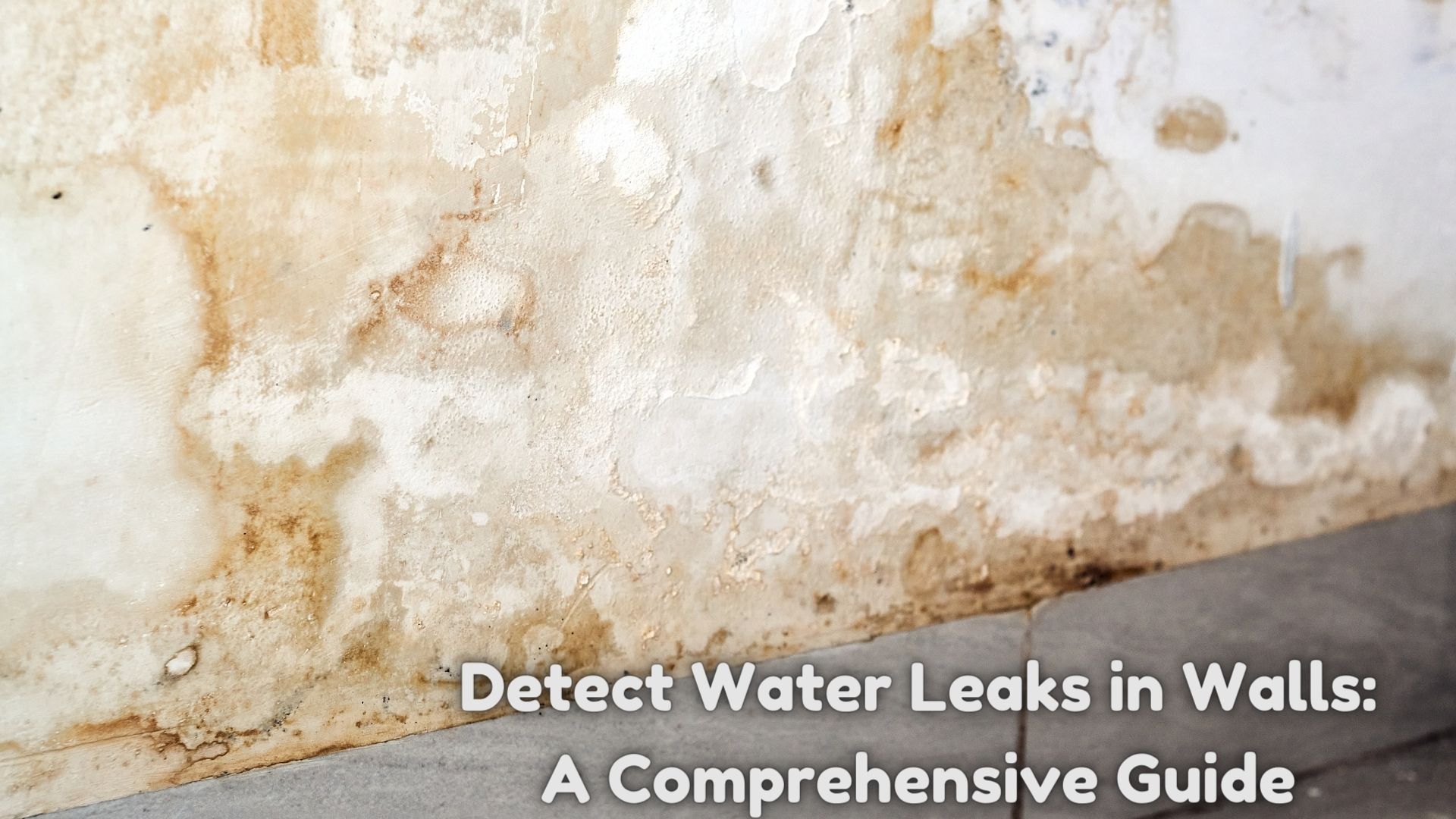 detect water leaks in walls 1