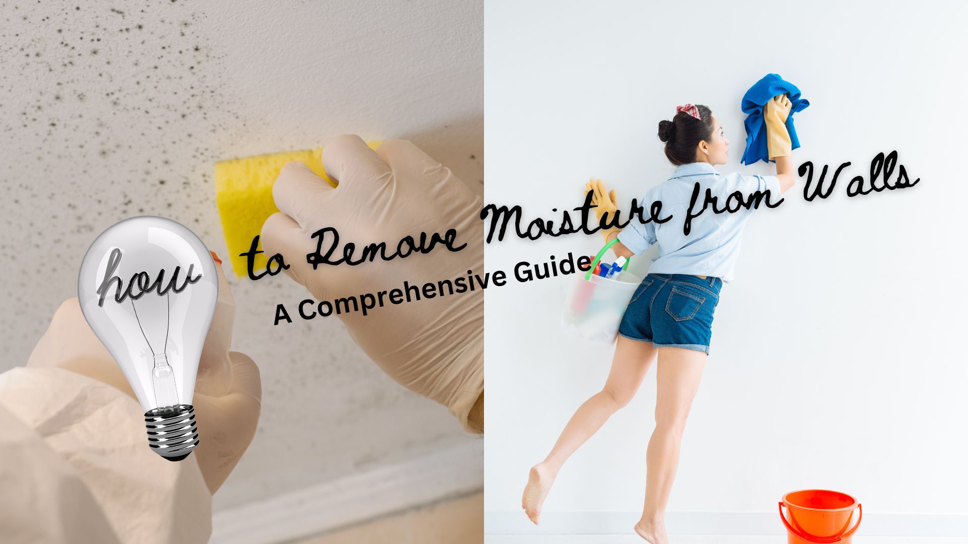 how to remove moisture from walls