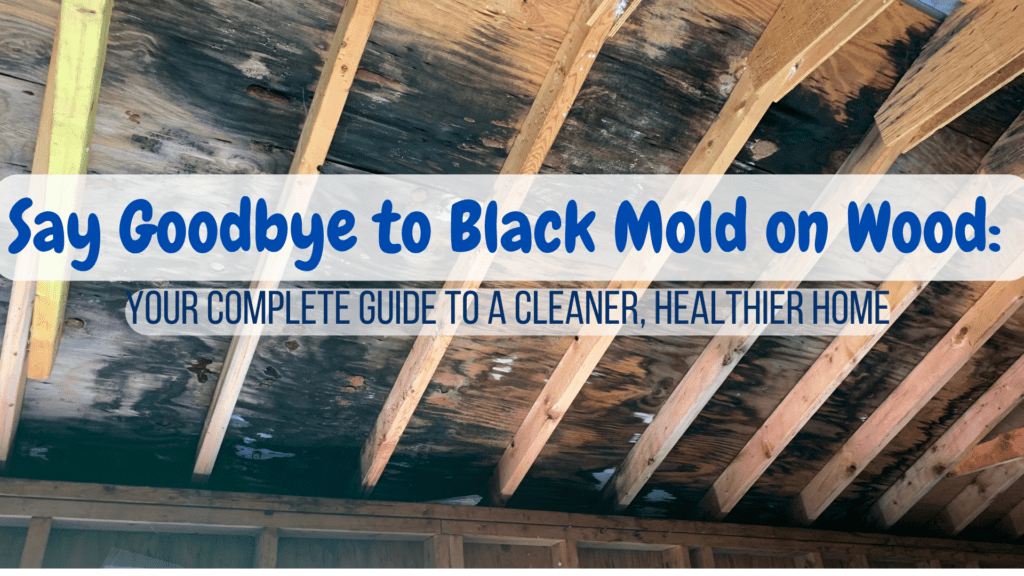 black mold on wood 123