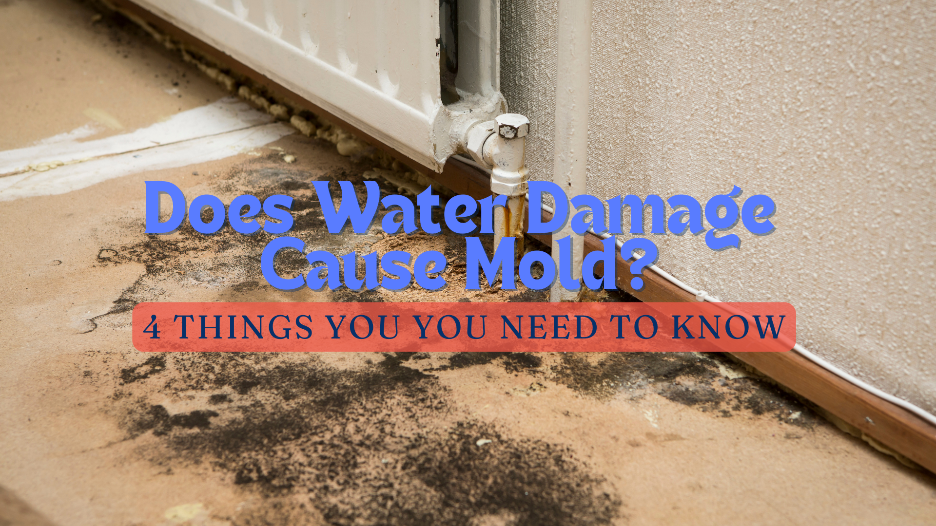 does water damage cause mold 1