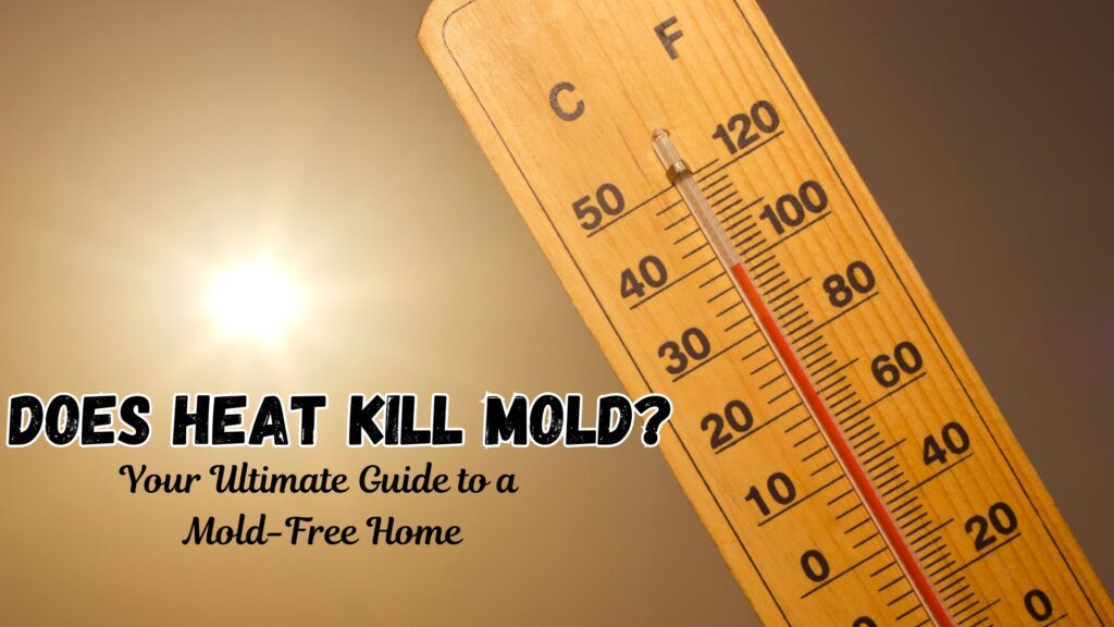 does heat kill mold 1