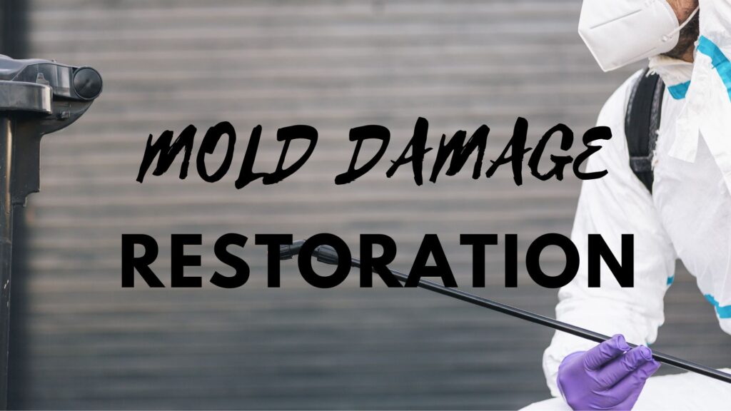 mold damage restoration 123