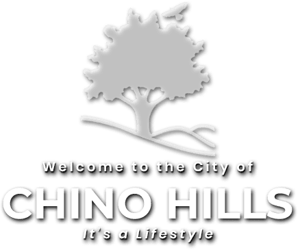 water damage chino hills