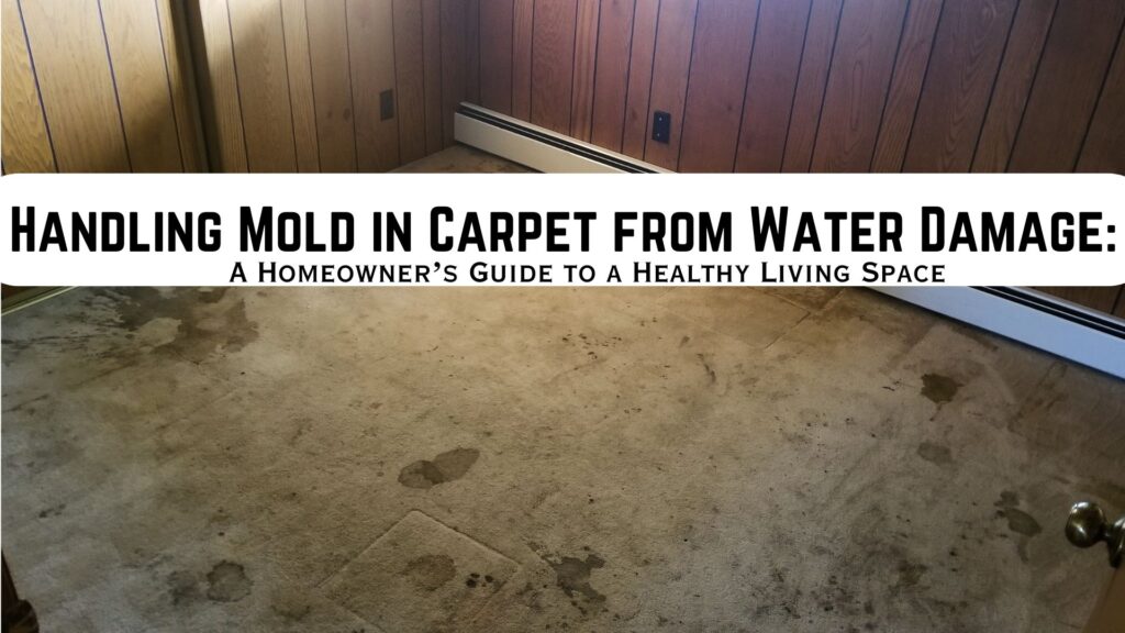 Handling Mold in Carpet from Water Damage: A Homeowner’s Guide to a Healthy Living Space - Superior Restoration