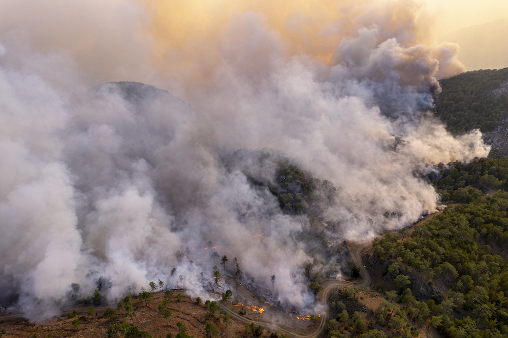 When Wildfire Suppression Floods Your Home: The Hidden Water Damage Risk in Southern California's Fire Zones - Superior Restoration When Wildfire Suppression Floods Your Home: The Hidden Water Damage Risk in Southern California's Fire Zones - Superior Restoration